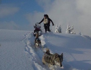  paseo en trineo por nieve polvo 